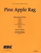 Pine Apple Rag Woodwind Choir cover